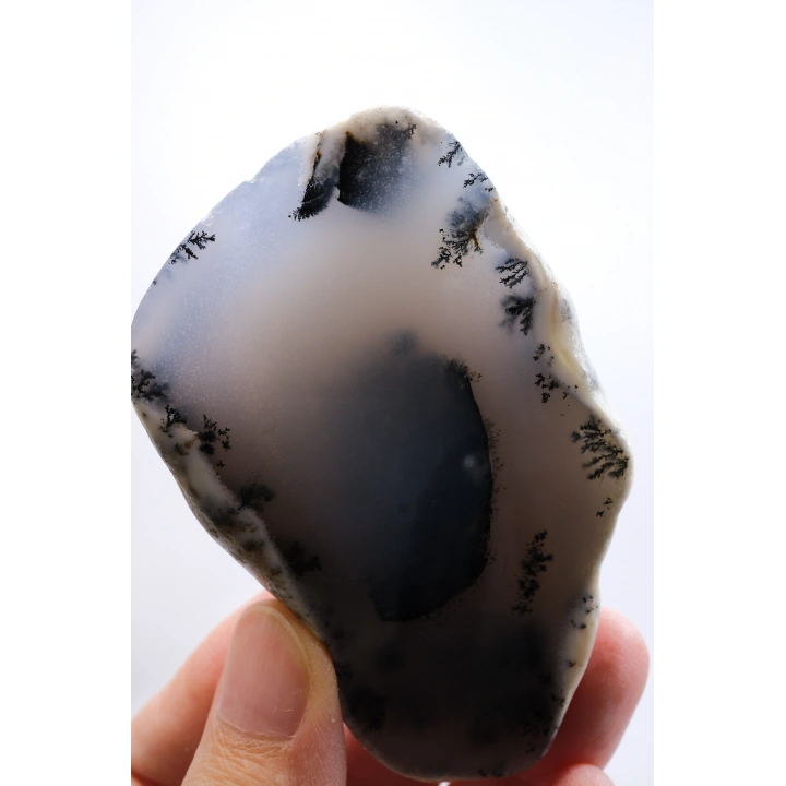 Gök Mavi Dendritik Opal Dilimi - Saydam Mavi Çekirdek ile Ağaç Şeklinde Siyah Dendritler, 142g