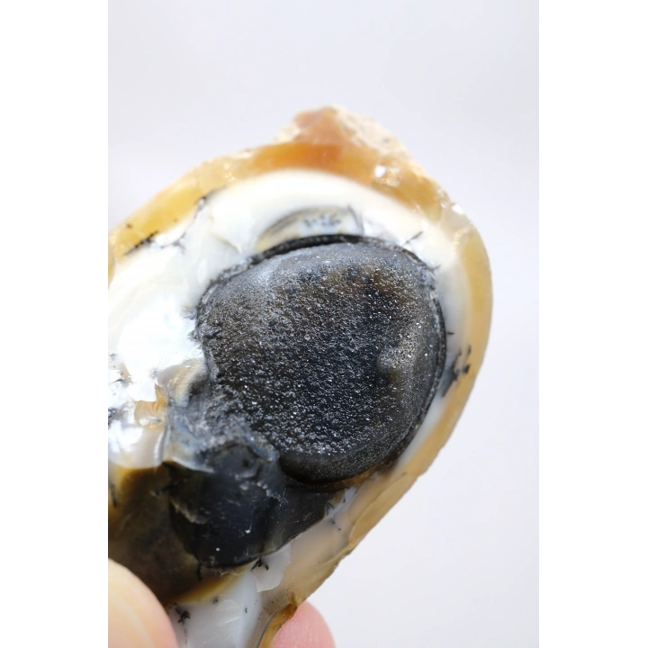 小さな黄色の樹枝状オパールゲオードで、自然な「目」の形成と黒いドルージーコアがあり、38g