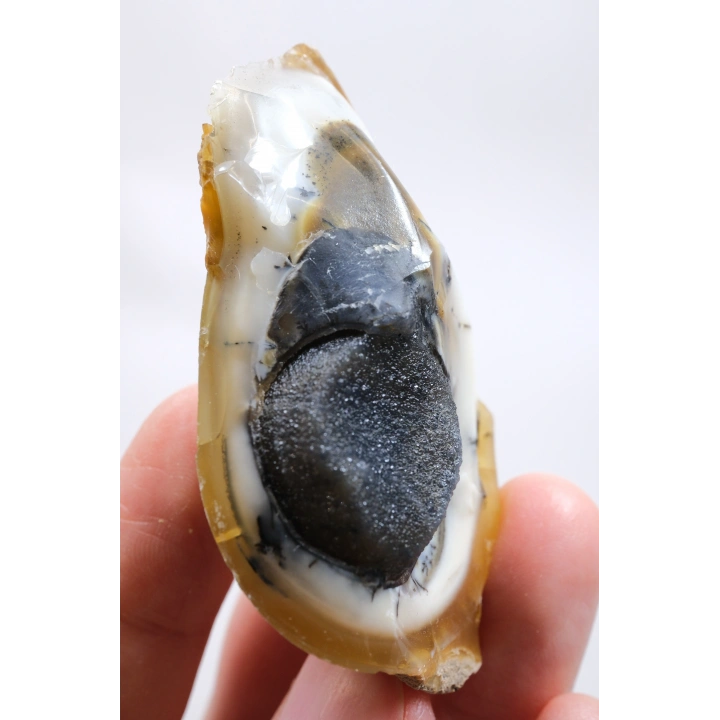 小さな黄色の樹枝状オパールゲオードで、自然な「目」の形成と黒いドルージーコアがあり、38g
