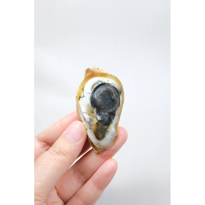 小さな黄色の樹枝状オパールゲオードで、自然な「目」の形成と黒いドルージーコアがあり、38g