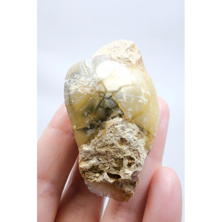 小さな黄色の樹枝状オパールゲオードで、自然な「目」の形成と黒いドルージーコアがあり、38g