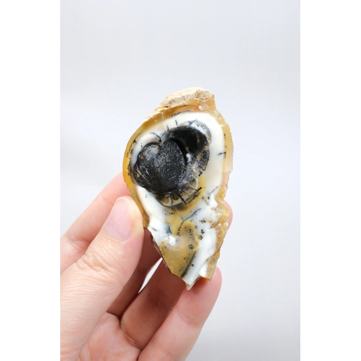 小黄色树枝状蛋白石晶洞，具有自然“眼睛”形态和黑色晶核，41克