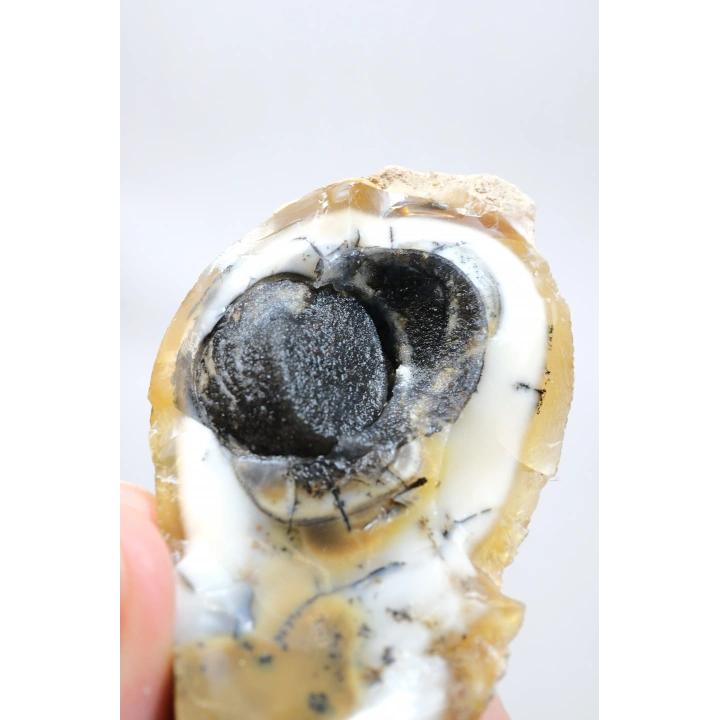 小黄色树枝状蛋白石晶洞，具有自然“眼睛”形态和黑色晶核，41克
