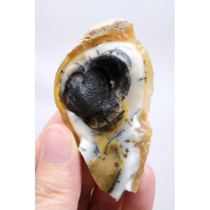 小黄色树枝状蛋白石晶洞，具有自然“眼睛”形态和黑色晶核，41克