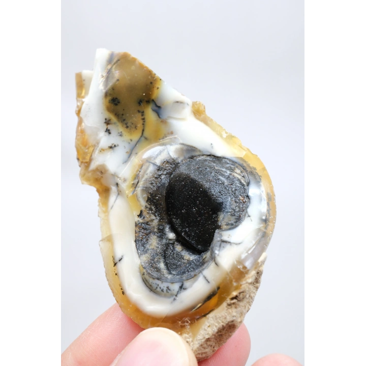 小黄色树枝状蛋白石晶洞，具有自然“眼睛”形态和黑色晶核，41克