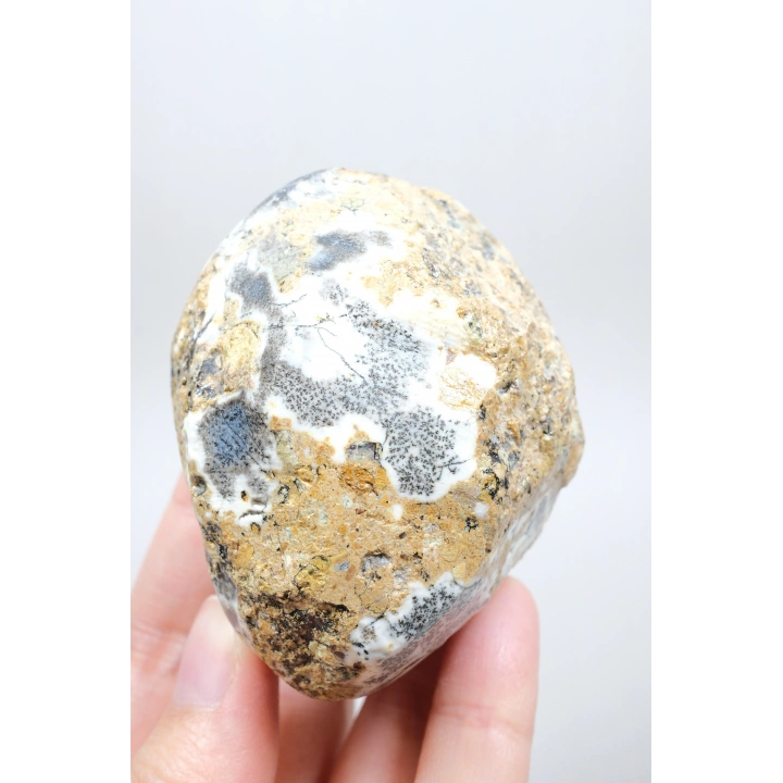 Eşsiz Güzellik Merlinit, Dendrit Opal Tekli, Mavi ve Beyaz İçerikli Opal