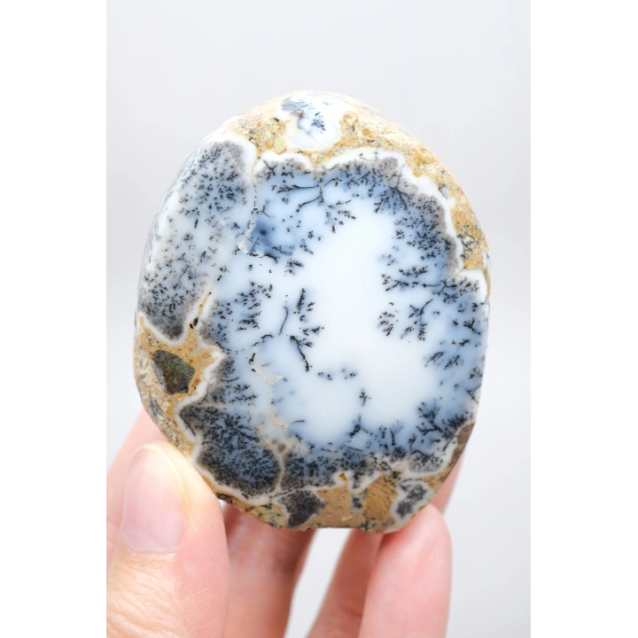 Eşsiz Güzellik Merlinit, Dendrit Opal Tekli, Mavi ve Beyaz İçerikli Opal