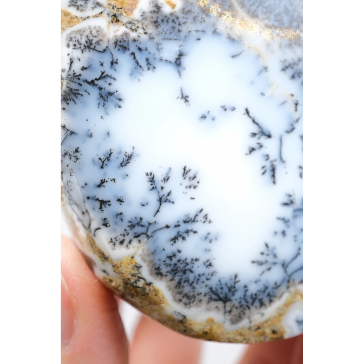 Eşsiz Güzellik Merlinit, Dendrit Opal Tekli, Mavi ve Beyaz İçerikli Opal