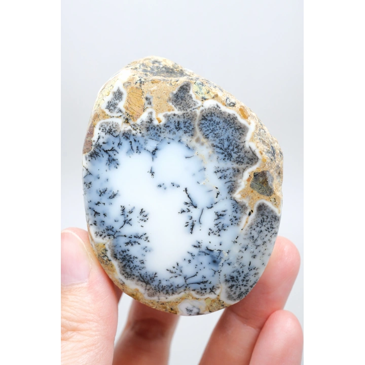 Eşsiz Güzellik Merlinit, Dendrit Opal Tekli, Mavi ve Beyaz İçerikli Opal