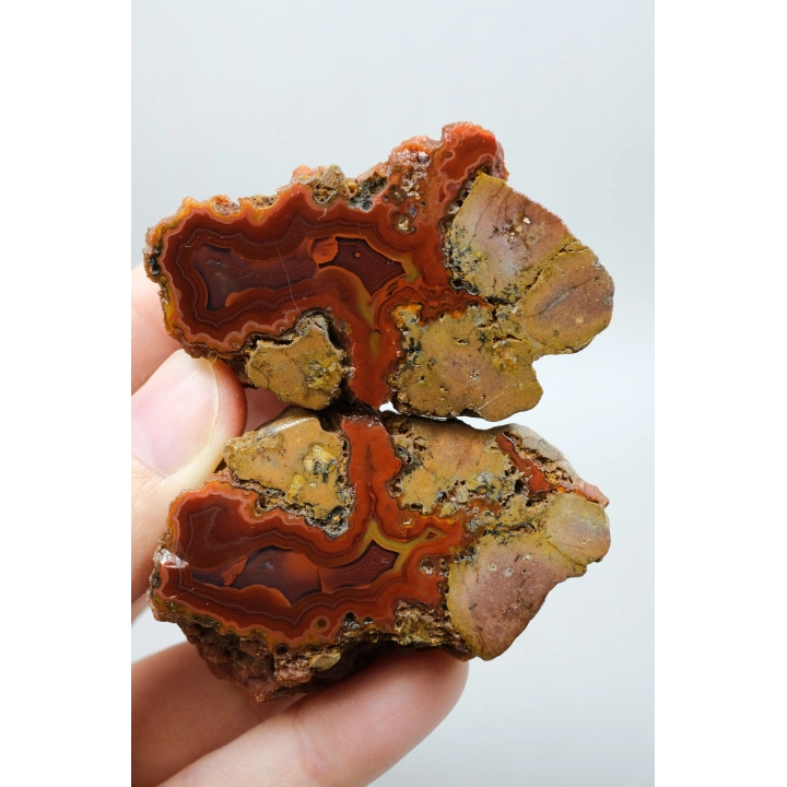 Canlı Terracotta Kırmızı Bantlı Almus Agat Parlatılmış Çifti