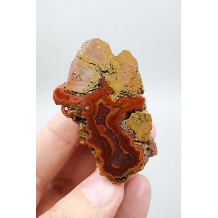 Canlı Terracotta Kırmızı Bantlı Almus Agat Parlatılmış Çifti