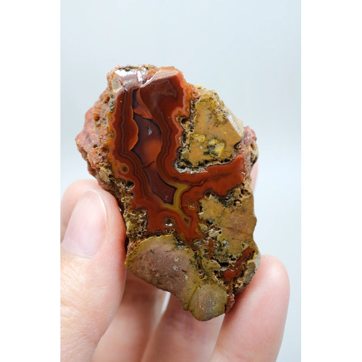 Canlı Terracotta Kırmızı Bantlı Almus Agat Parlatılmış Çifti