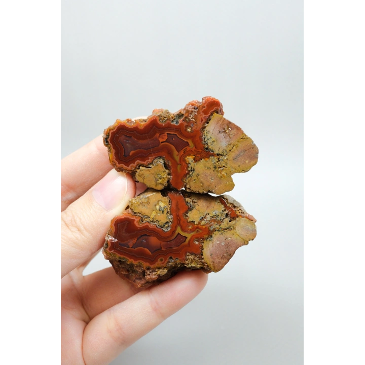 Canlı Terracotta Kırmızı Bantlı Almus Agat Parlatılmış Çifti