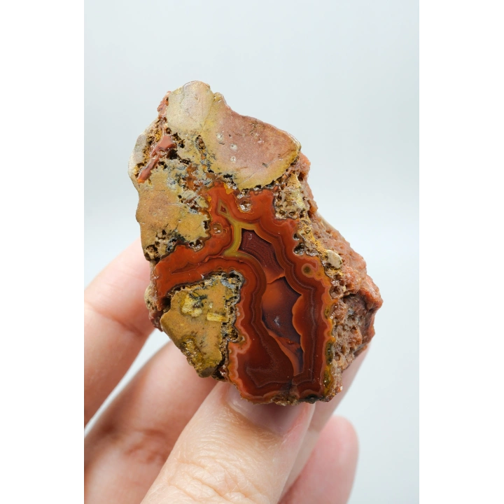 Canlı Terracotta Kırmızı Bantlı Almus Agat Parlatılmış Çifti