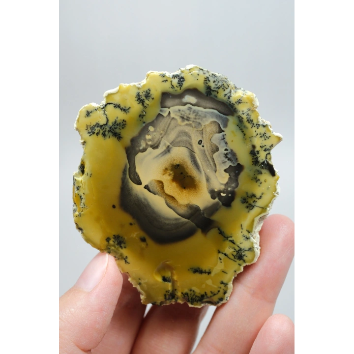 Sarı Dendritik Opal - Mavi Kalsedon ve Bal Opali Muhteşem Parlatılmış Çift | Fikir & Dengelendirme Taşı