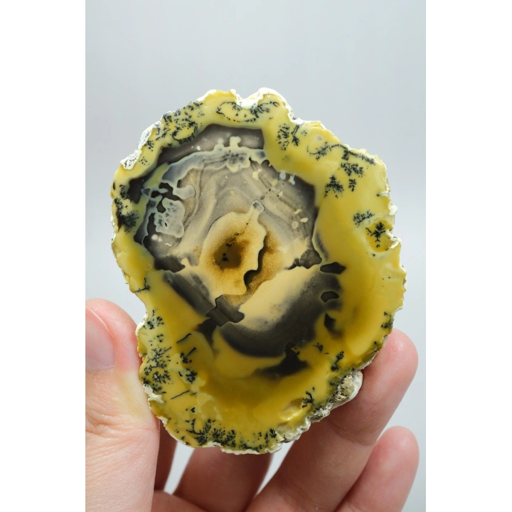Sarı Dendritik Opal - Mavi Kalsedon ve Bal Opali Muhteşem Parlatılmış Çift | Fikir & Dengelendirme Taşı