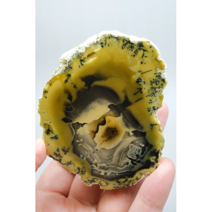 Sarı Dendritik Opal - Mavi Kalsedon ve Bal Opali Muhteşem Parlatılmış Çift | Fikir & Dengelendirme Taşı