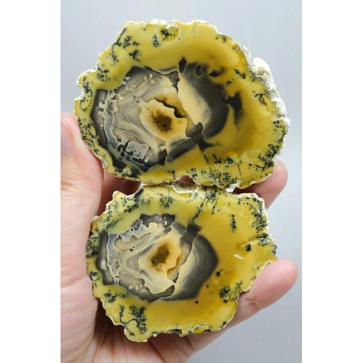 Sarı Dendritik Opal - Mavi Kalsedon ve Bal Opali Muhteşem Parlatılmış Çift | Fikir & Dengelendirme Taşı