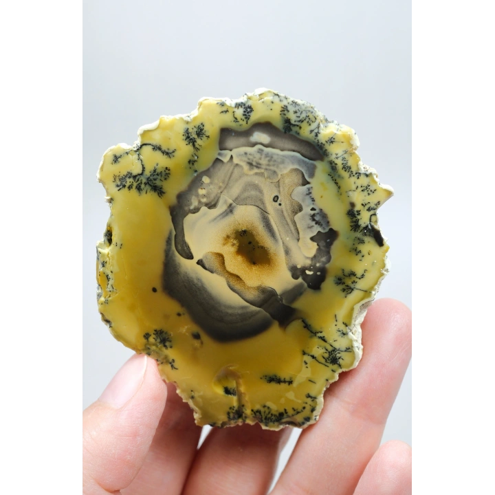 Sarı Dendritik Opal - Mavi Kalsedon ve Bal Opali Muhteşem Parlatılmış Çift | Fikir & Dengelendirme Taşı