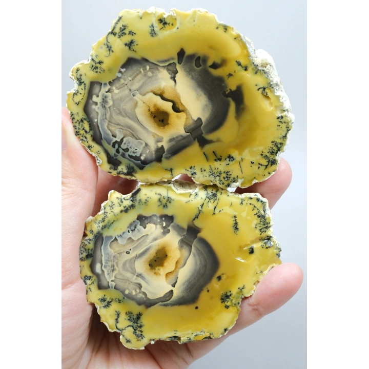 Sarı Dendritik Opal - Mavi Kalsedon ve Bal Opali Muhteşem Parlatılmış Çift | Fikir & Dengelendirme Taşı