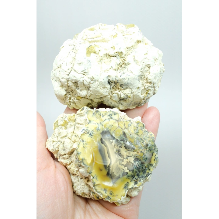 Sarı Dendritik Opal - Mavi Kalsedon ve Bal Opali Muhteşem Parlatılmış Çift | Fikir & Dengelendirme Taşı