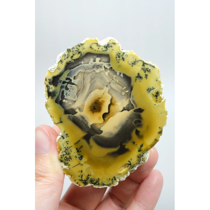 Sarı Dendritik Opal - Mavi Kalsedon ve Bal Opali Muhteşem Parlatılmış Çift | Fikir & Dengelendirme Taşı