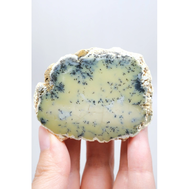 Sarı Dendritik Opal Tekli | Merlinite Örneği, Siyah Dendritler ile, 90gr