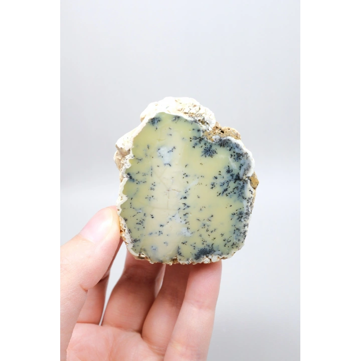 Sarı Dendritik Opal Tekli | Merlinite Örneği, Siyah Dendritler ile, 90gr