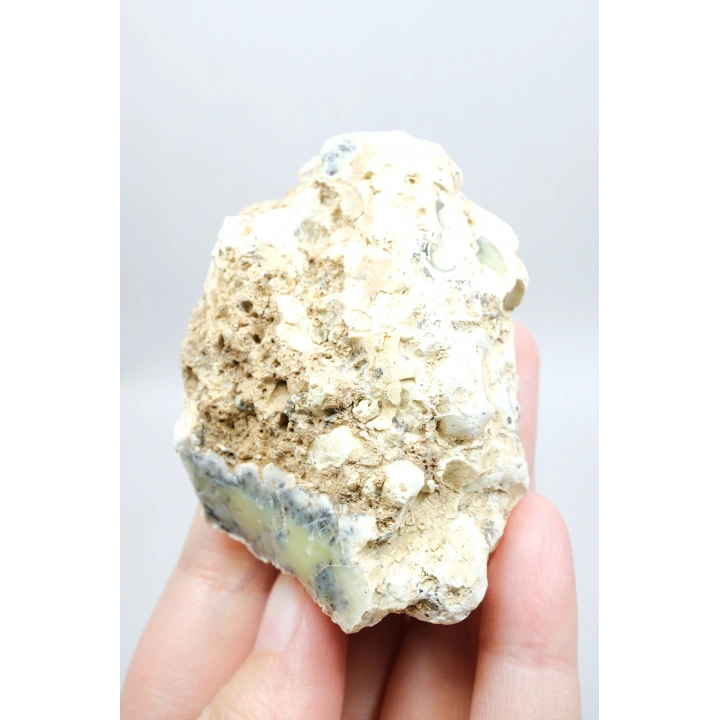 Sarı Dendritik Opal Tekli | Merlinite Örneği, Siyah Dendritler ile, 90gr