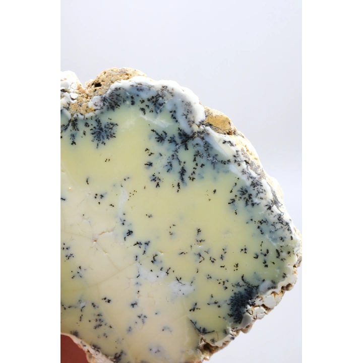 Sarı Dendritik Opal Tekli | Merlinite Örneği, Siyah Dendritler ile, 90gr