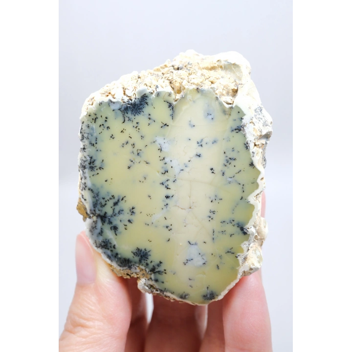 Sarı Dendritik Opal Tekli | Merlinite Örneği, Siyah Dendritler ile, 90gr