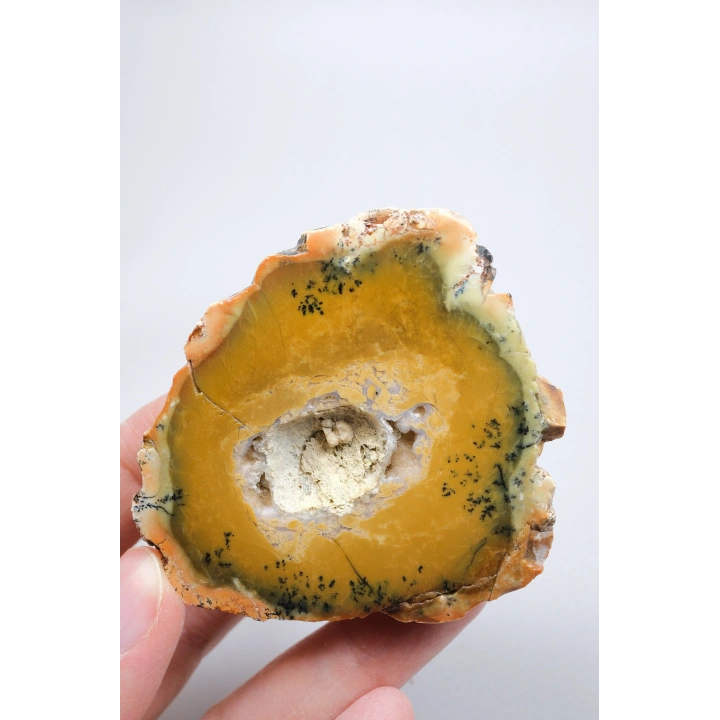 Sarı Merlinit Jeot – Hardal ve Zeytin Dendritik Opal ile Orta Kısmında Druzy Boşluk, 117g