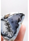 Alkimik Mavi ve Altın Birleşimi: Cilalı Merlinit (Dendritik Opal) Numunesi