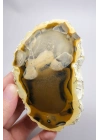 Amber ve Kahverengi Merlinit - Bal Dendritik Opal Yarım, Şeffaf Vurgular, 150g