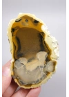 Amber ve Kahverengi Merlinit - Bal Dendritik Opal Yarım, Şeffaf Vurgular, 150g