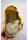Amber ve Kahverengi Merlinit - Bal Dendritik Opal Yarım, Şeffaf Vurgular, 150g