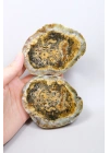 棕色树枝状蛋白石切片对——浓郁的蜂蜜赭色核心，伴有细腻的黑色树枝状纹理，重408克