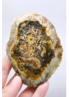 棕色树枝状蛋白石切片对——浓郁的蜂蜜赭色核心，伴有细腻的黑色树枝状纹理，重408克