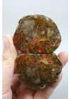 Carnelian Kırmızı ve Hardal Sarısı Bantlı Siyah Deniz Akik Çifti, 167g