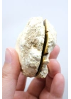 Koyu Bal Rengi ve Kehribar Tonlu Merlinit – Konsantrik Renk Bantlarına Sahip Dendritik Opal Çifti, 112 g