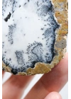 Dendritik Simya: Merlinit (Dendritik Opal) - Cilalı Çift