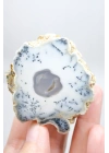 Dendritik Rüyalar: Bölünmüş Opal - Merlinit, 185g