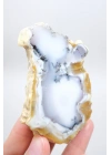 Dendritik Bal Opal Dilimi: Cilalanmış Merlinite Taşı (90g)