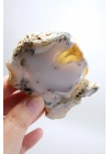 Dendritik Bal Opal Dilimi: Cilalanmış Merlinite Taşı (90g)