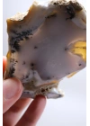 Dendritik Bal Opal Dilimi: Cilalanmış Merlinite Taşı (90g)