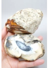 Dendritik Opal Çifti - Mavi ve Krem Merlinite Cilalanmış Taşlar, 368g