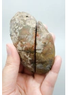 Dense Terracotta Red and Mustard Yellow Plume Agate, 180g
