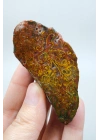Dense Terracotta Red and Mustard Yellow Plume Agate, 180g