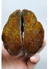 Dense Terracotta Red and Mustard Yellow Plume Agate, 180g