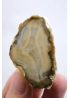 Topraksı Kahve ve Krem Dendritik Opal Merlinit Dilimi, 35g